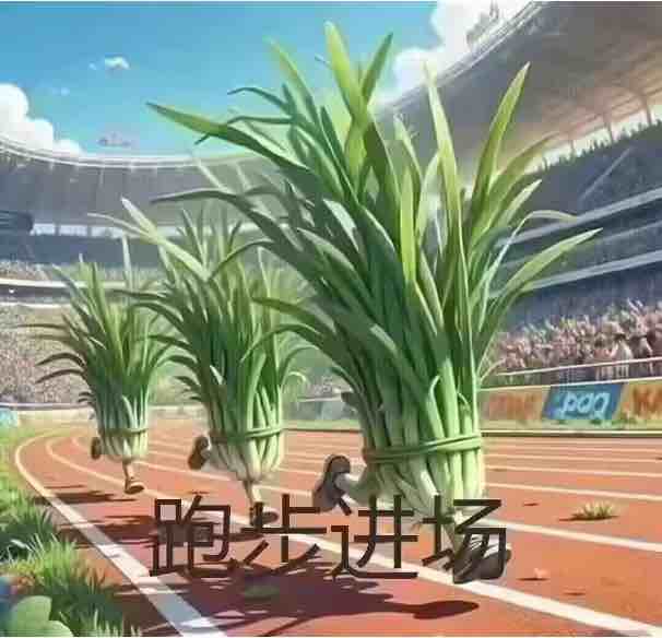 韭菜商会抄底王