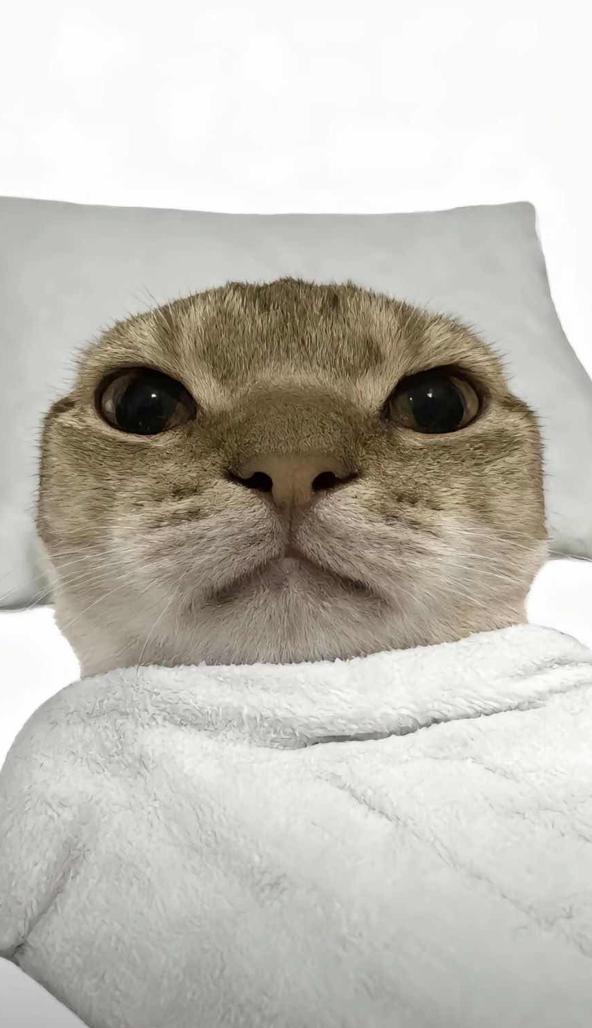 玩家1451681837864697856