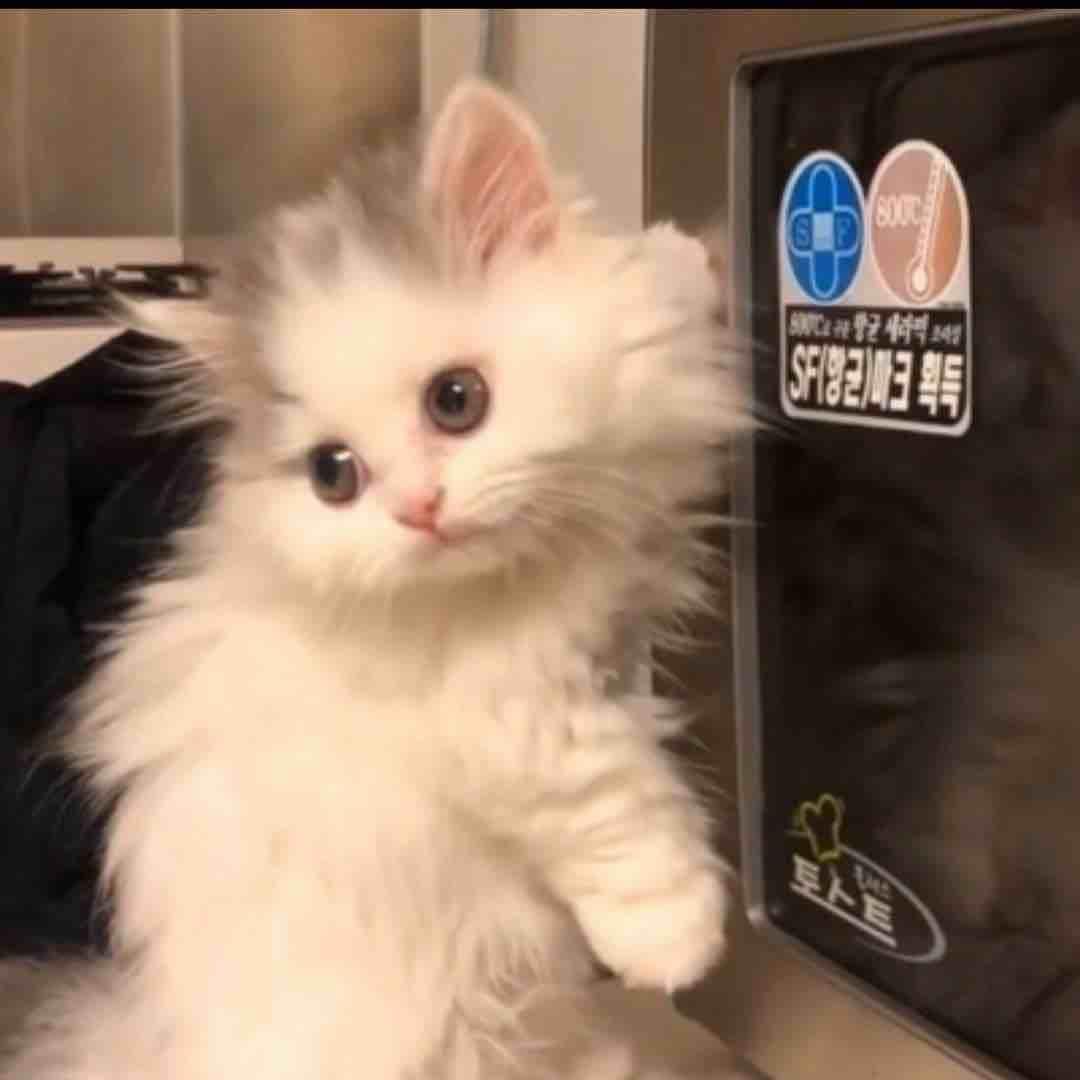 兔兔老师二号仓