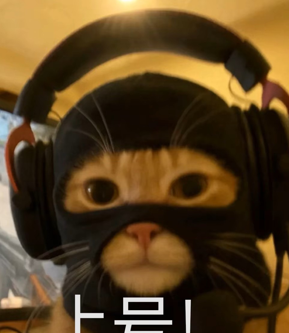 改名求中取真经