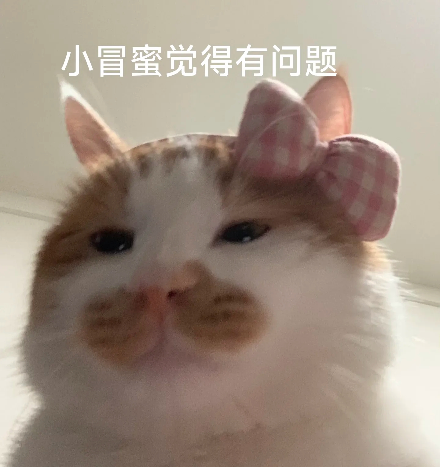 玩家1441920538079797248