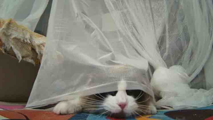 物美价廉发货快的亲