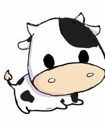 老板发财箱箱出金