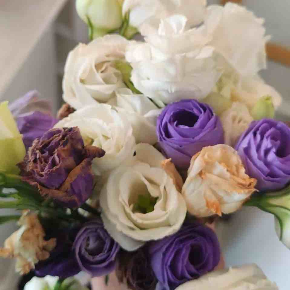 玩家1399365455579009024