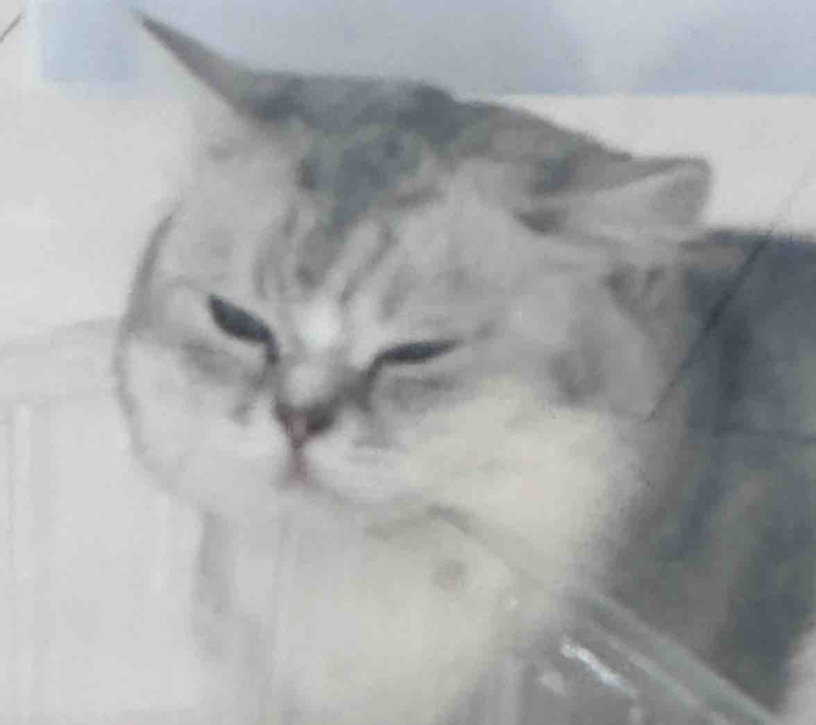 玩家1057630412523151360