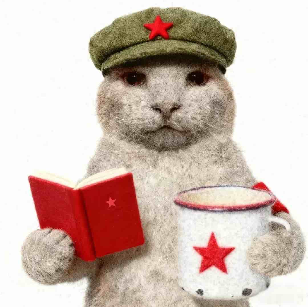 不要双平台丢求购