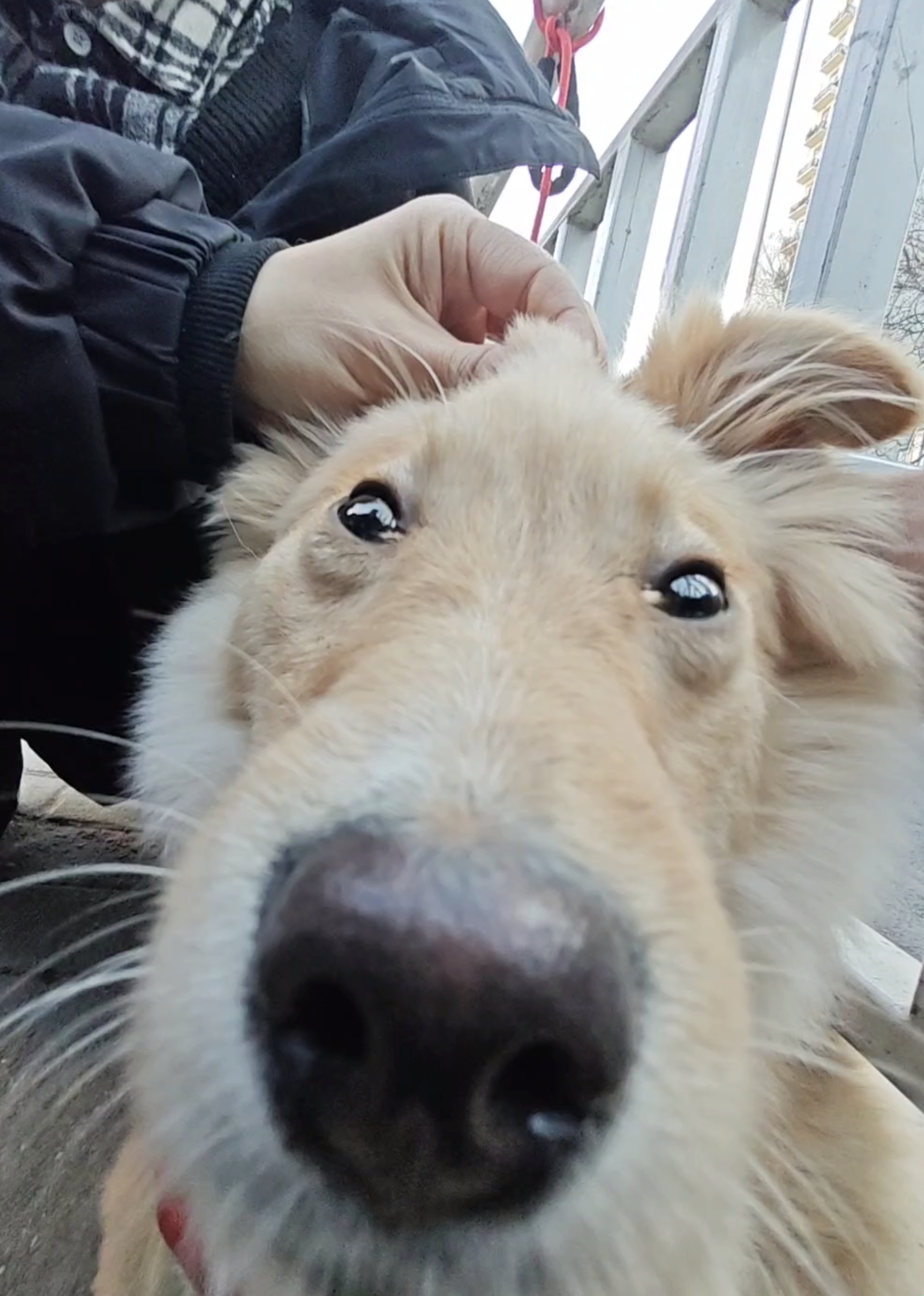 买我的老板发大财