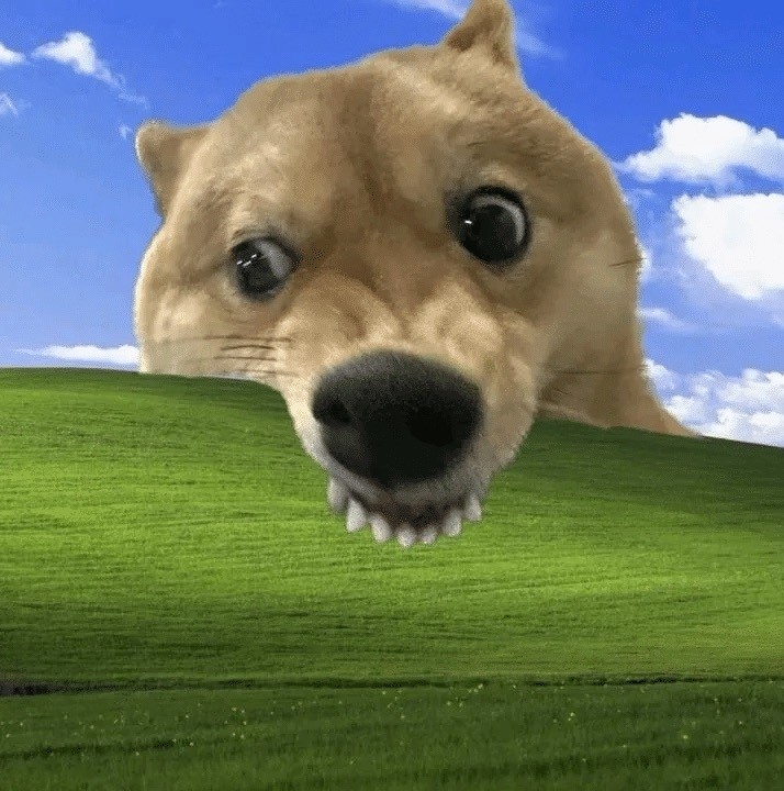 是附近的吃吃