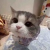 抢卡小能手