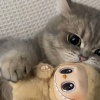 买我的吧