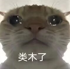 鼠鼠5555