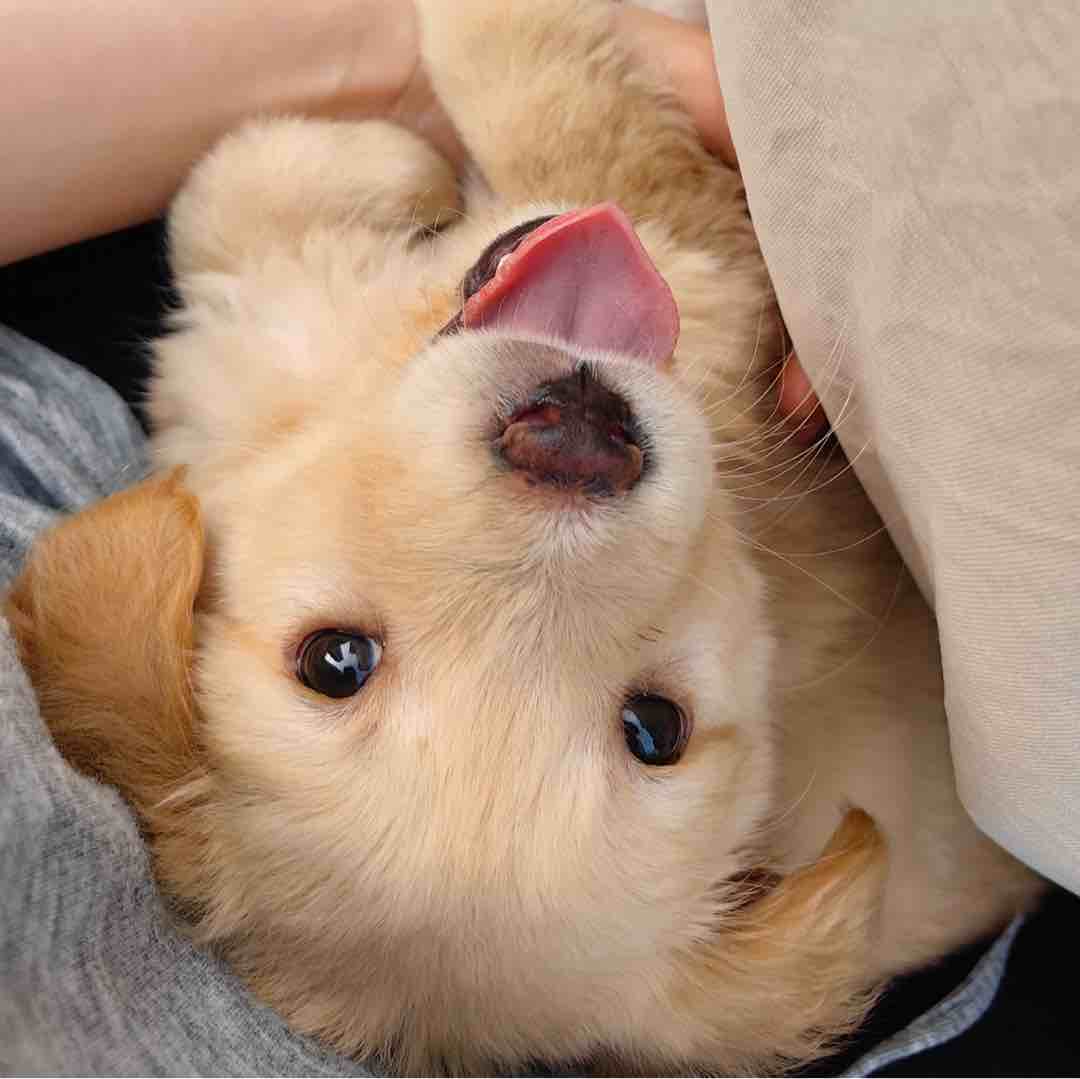 玩家1264684038838939648