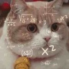 洛笑笑笑