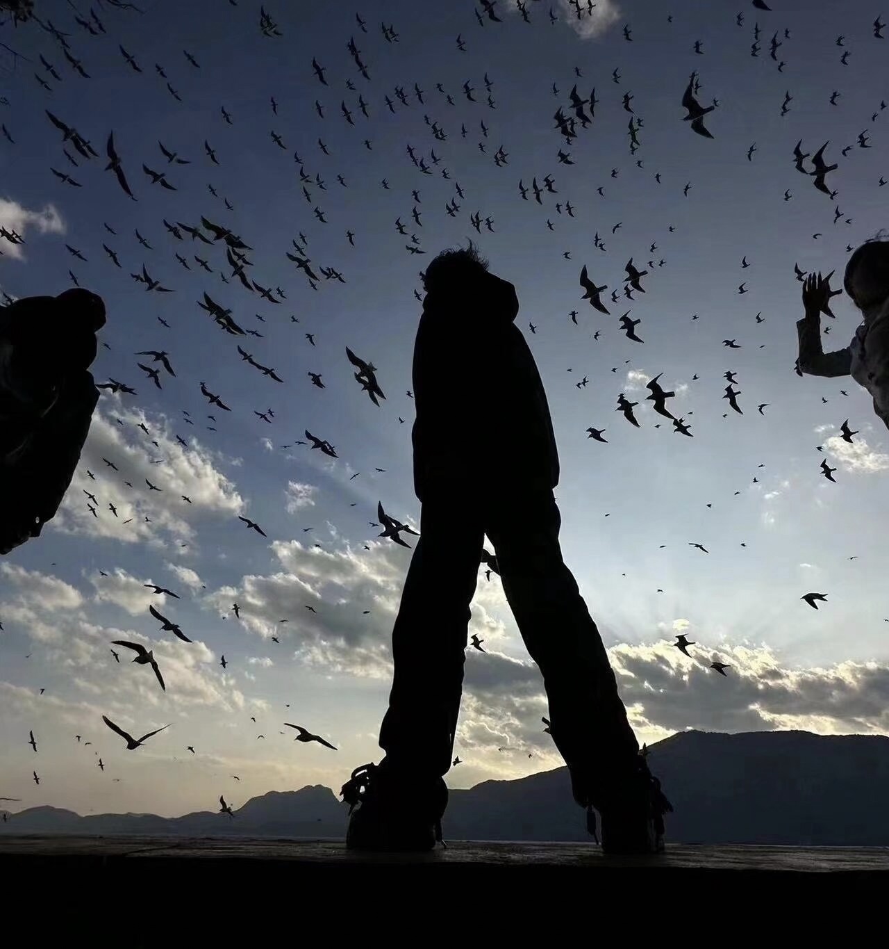 荼靡花的最终章