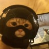森屿海巷