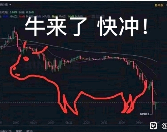 买我的我是可爱小楠娘