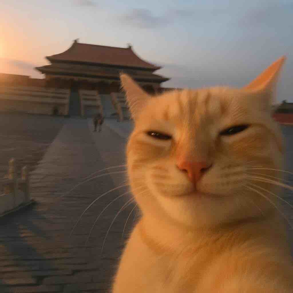 看看我吧
