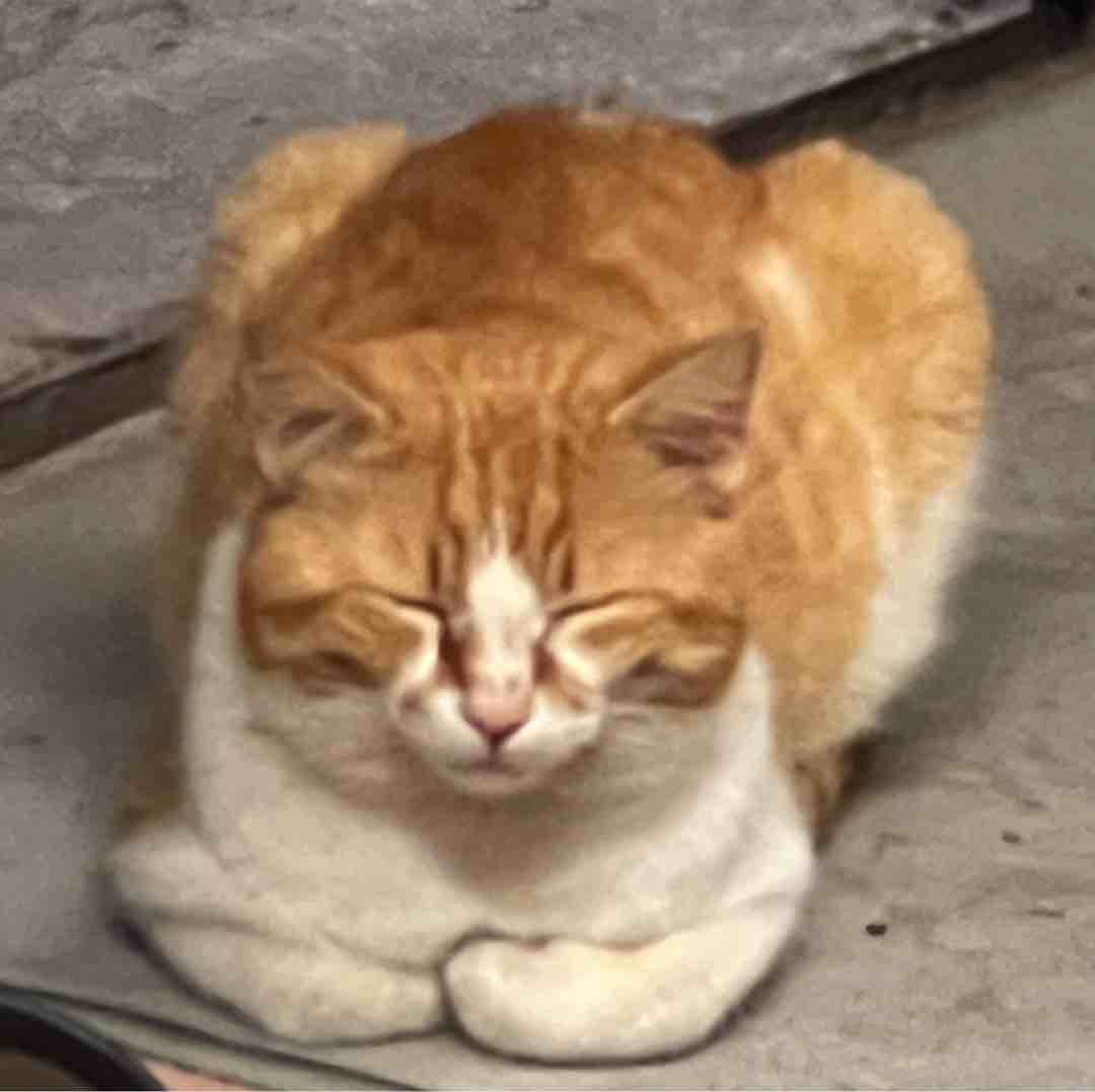meng
