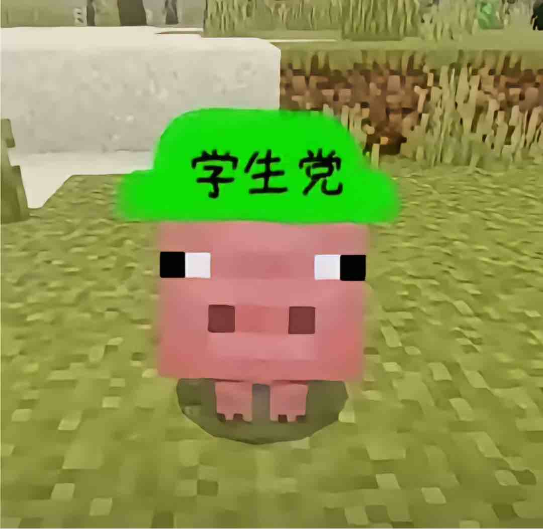 学生党6666