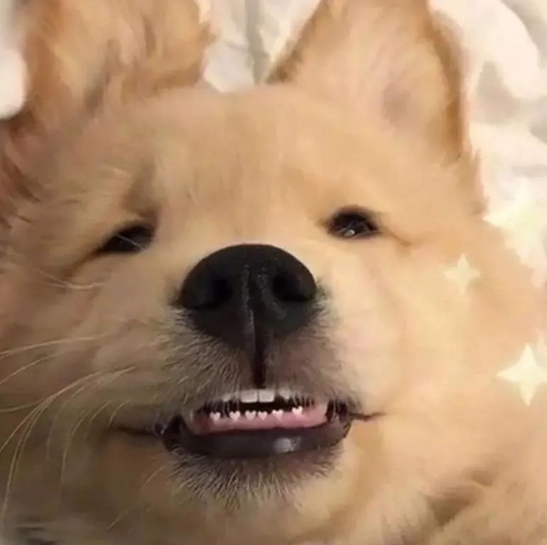 老板大气