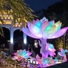改名中大奖