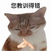 玩家1194921436053577728