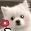 红黄蓝绿最喜欢红