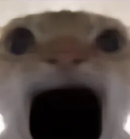 玩家1397761789362118656