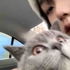 总得换个口味吃