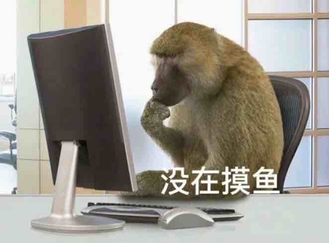 西瓜不是瓜