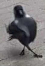 玩家1412270943270449152