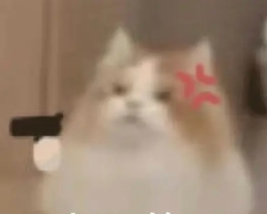 瞬息之内抵达君府