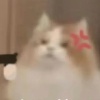 瞬息之内抵达君府