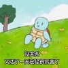 纯粹的自用玩家