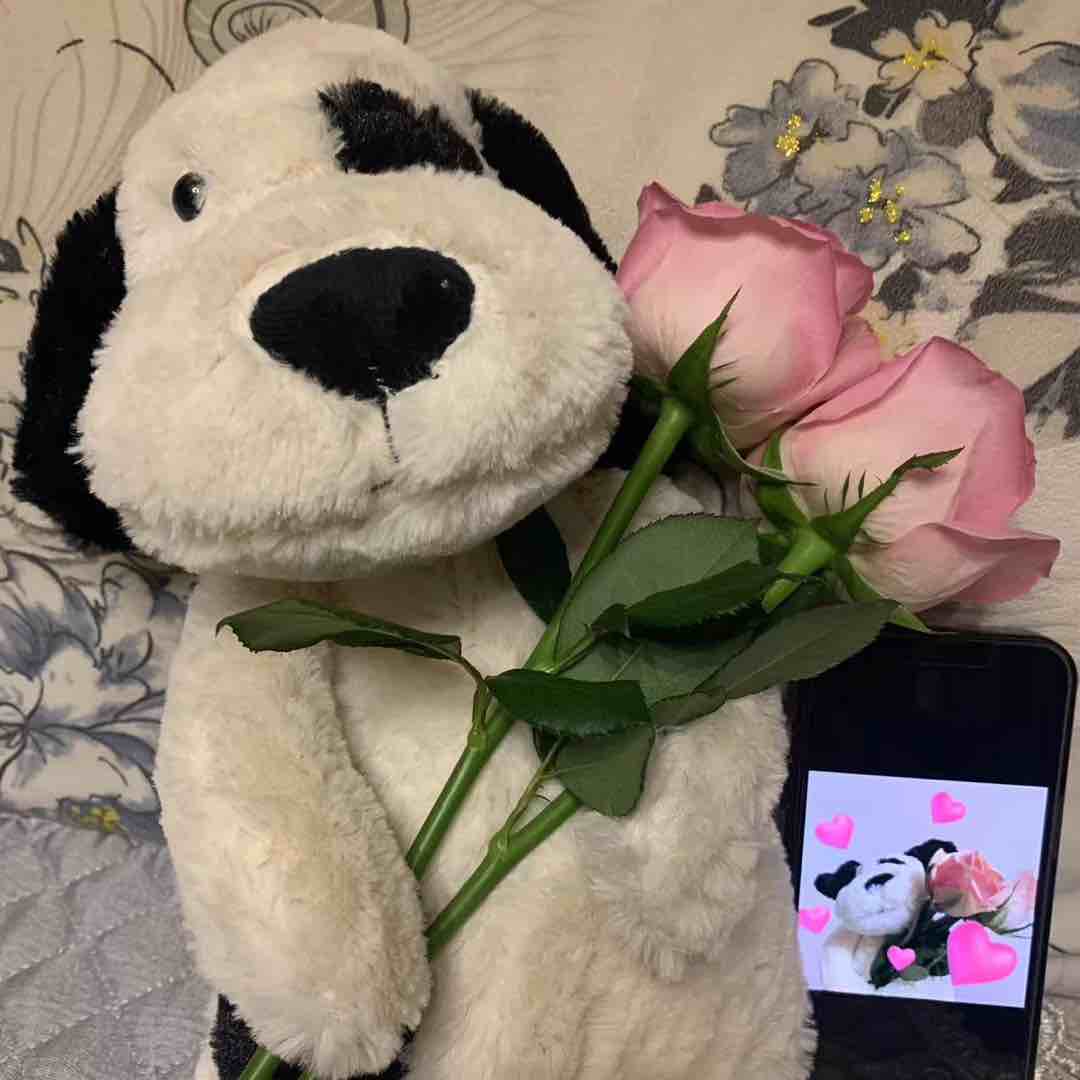 感谢老板下单