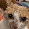 玩家1138587630588690432