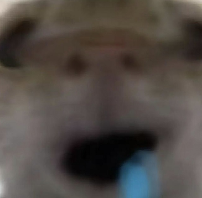 玩家1387893572827930624