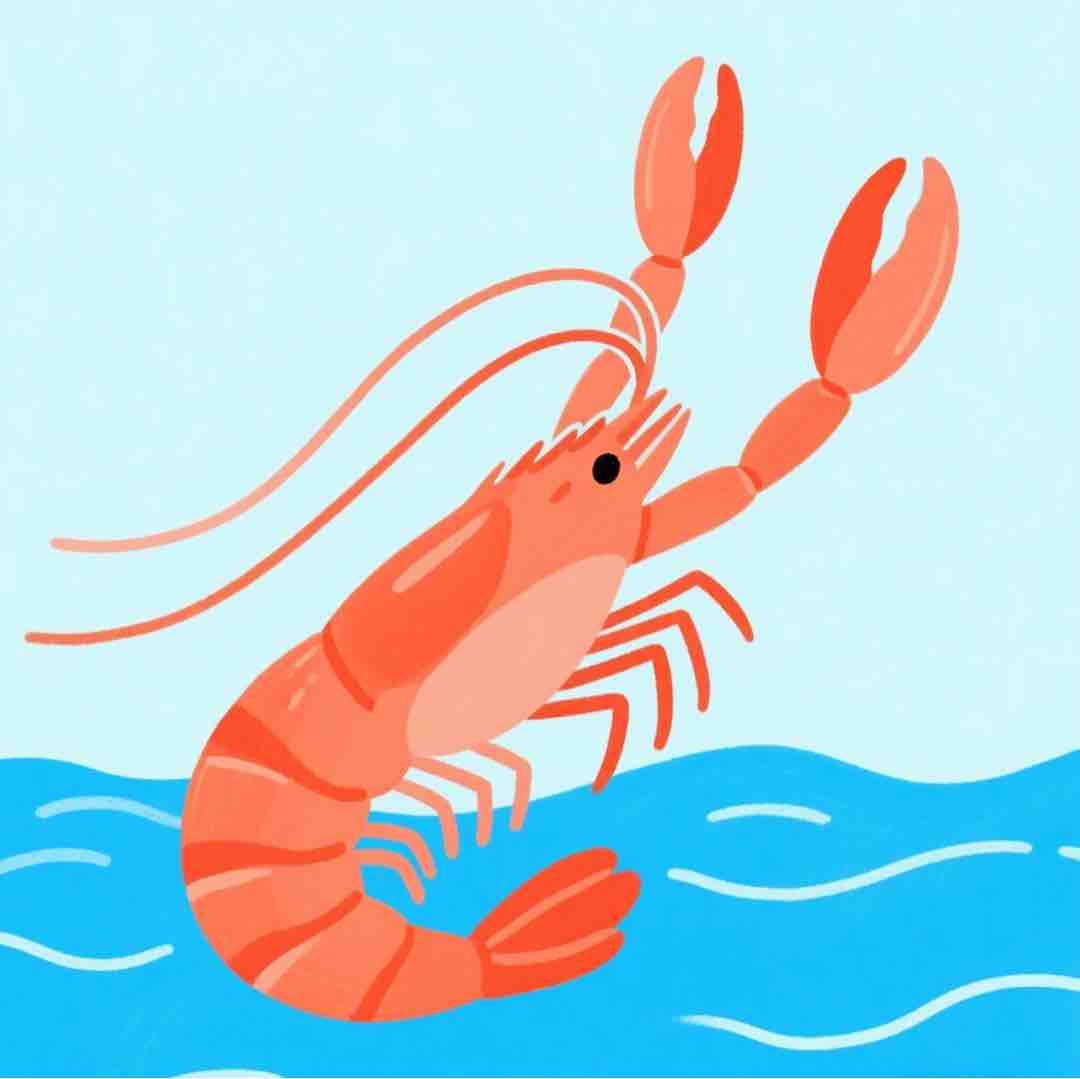 深海鱼秒发