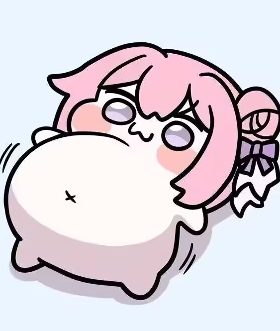 肚腩大飞猪