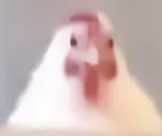 八嘎999