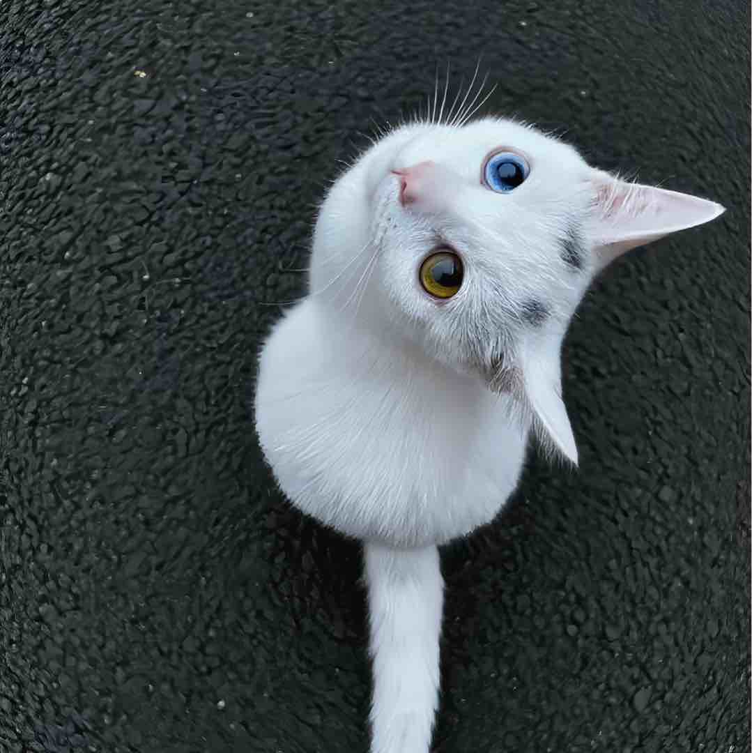 下单秒发货