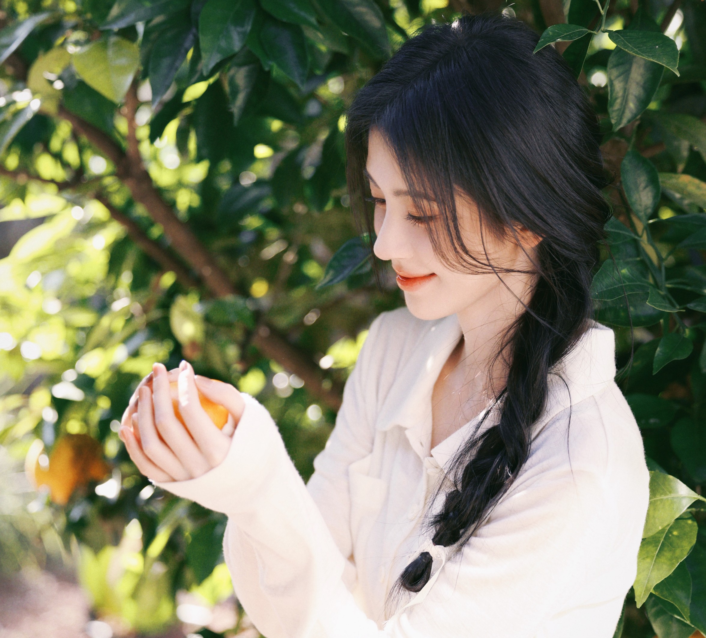 瑞Elysie