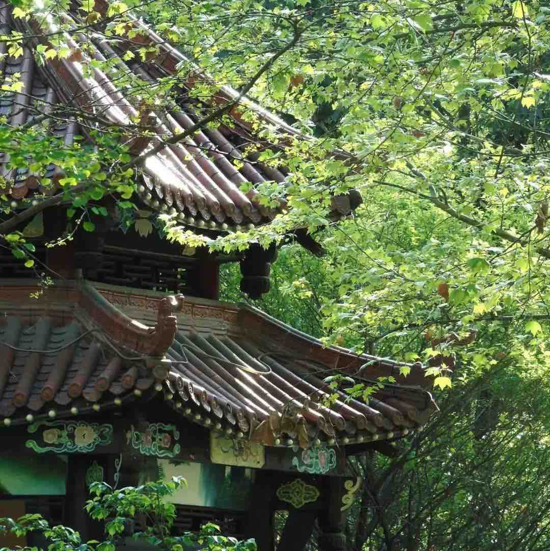 玩家1423641621377282048