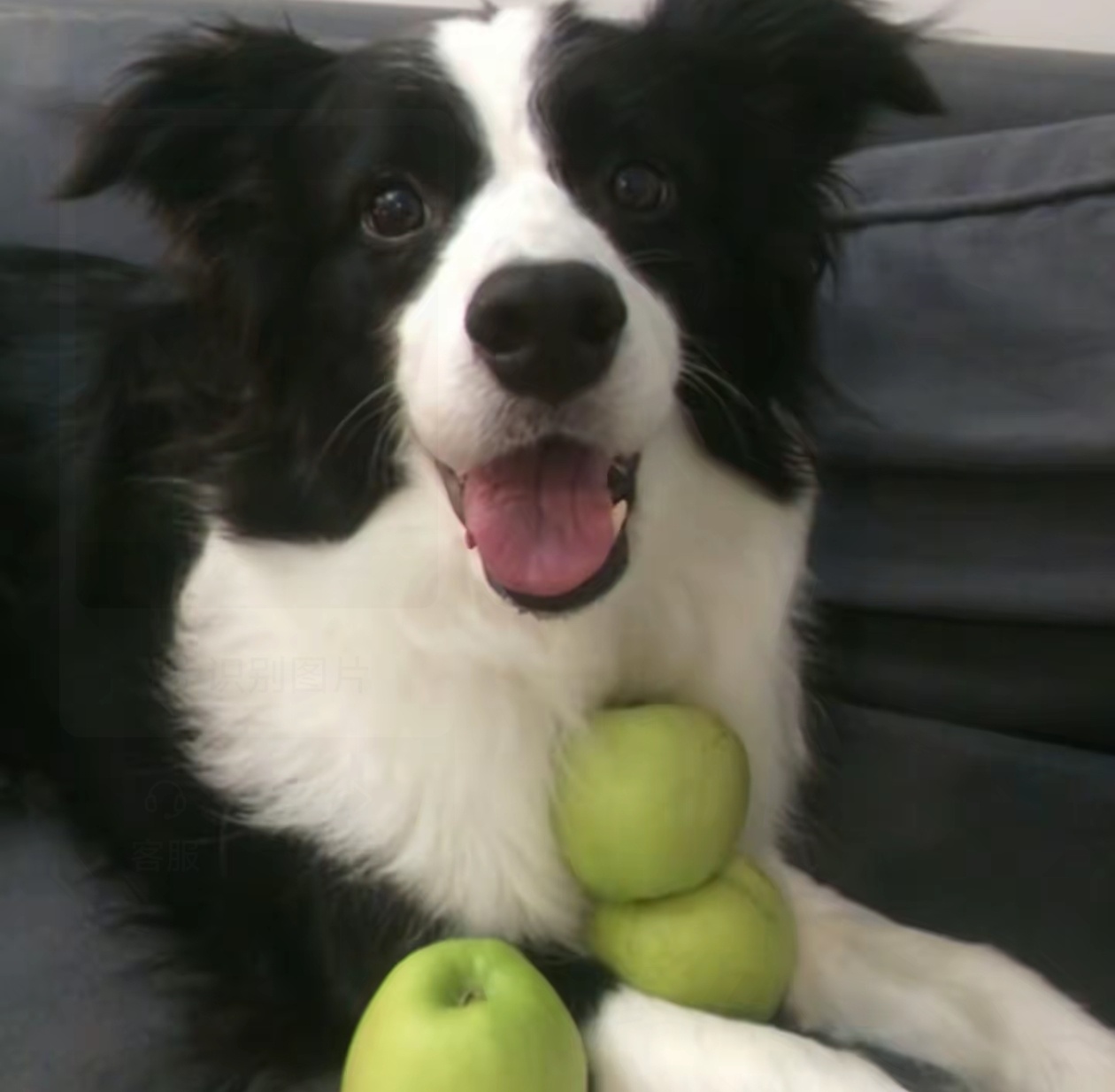 玩家1381382065071370240