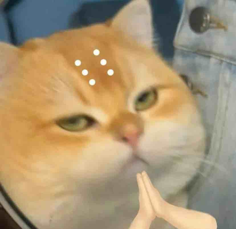 暴富富富