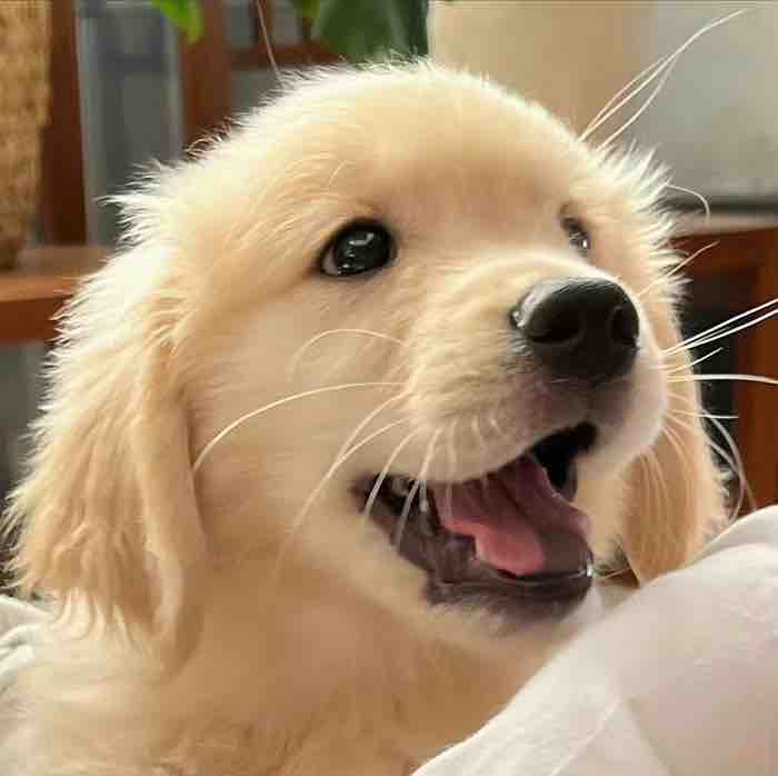 暖暖出货啦