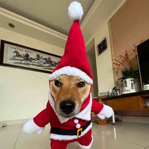 买我后饰品红透半边天