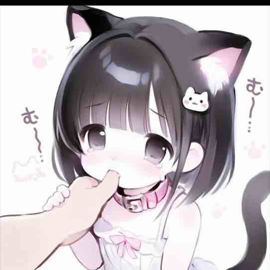小猫jiang