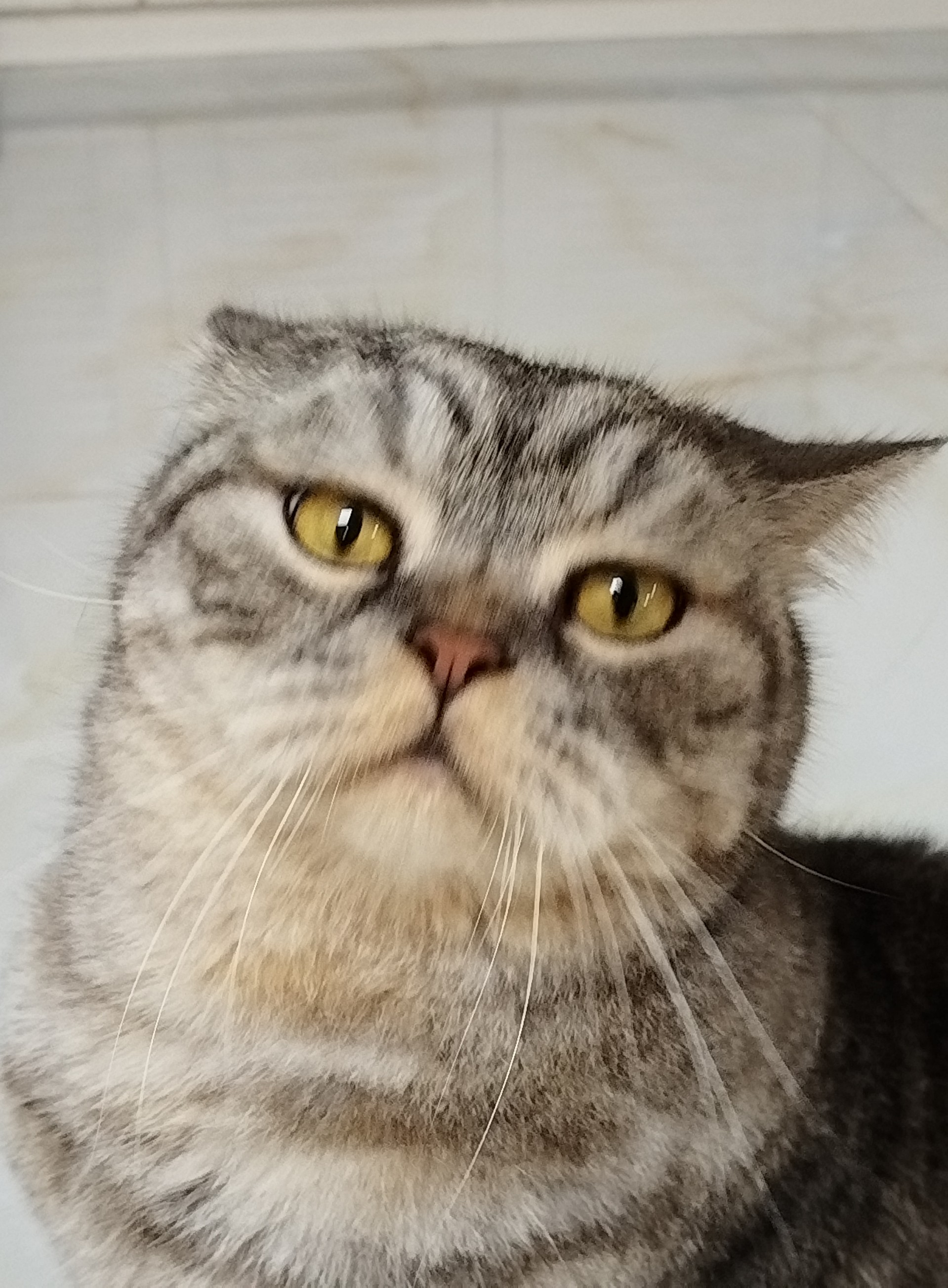 玩家1427049492282568704