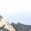 改名自救